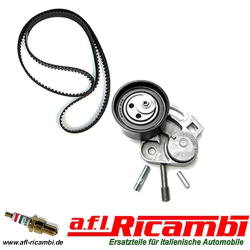 Kit cinghia distribuzione - cinghia,