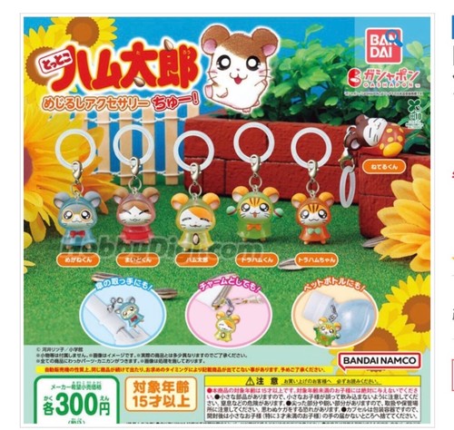 2025 tottoko hamtaro - tottoko,