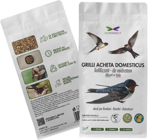 Grilli liofilizzati - grilli,