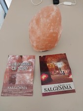 Lampada di sale rosa 2-3 kg dell' Himalaya Salgemma 