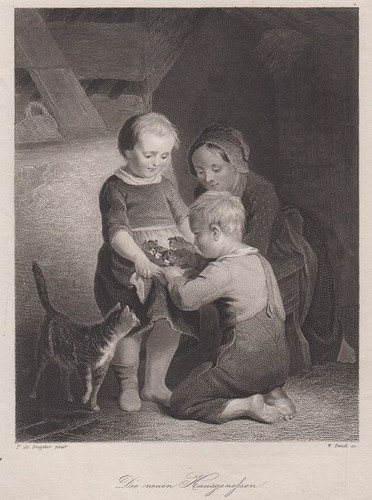 Nuovi compagni casa - i,