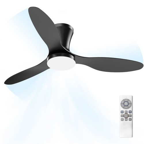Ventilatore soffitto luce - ventilatore,