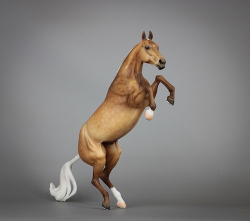 Breyer drastic custom bristol - drastic,