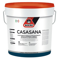 Boero CASASANA Pittura