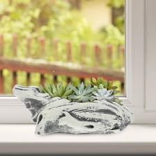  Vasi Per Piante Da Interno