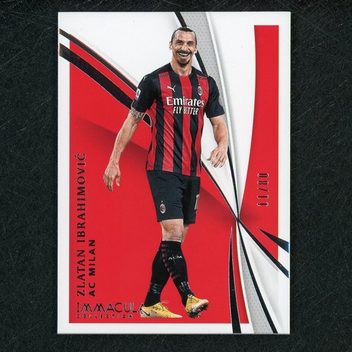 2021 panini immacolata - panini,