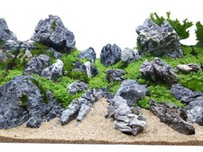 25 libbre Aquascaping Seiryu