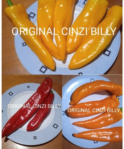 Mix semi peperone corno - 70,