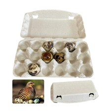 50 pz Confezioni da 18 UOVA DI