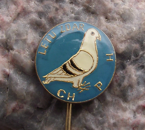 Distintivo spilla uccellino