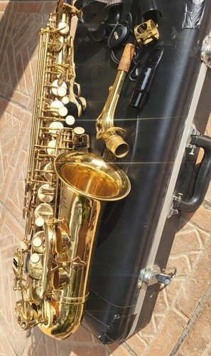 Michael alto saxophone - michael,
