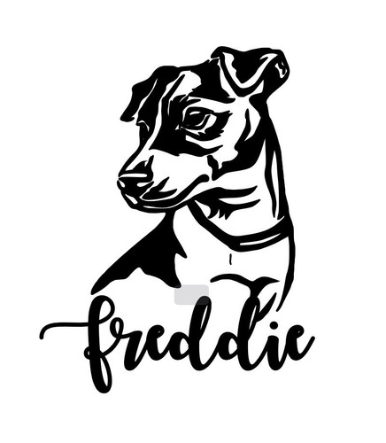 Adesivo jack russel - adesivo,