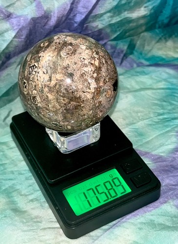 Wow rainforest jasper - rainforest,