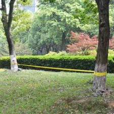 vidaXL Slackline 15 m x 50 mm