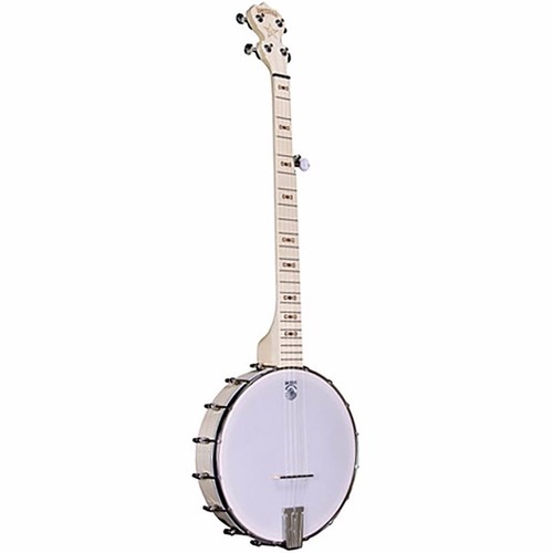 Deering goodtime banjo 5 - banjo, a