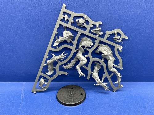 Warhammer quest cursed city - quest,