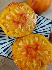 Pomodoro Paglione - Pomodoro bistecca di manzo dall'Italia - 5+ semi - semi - P 522