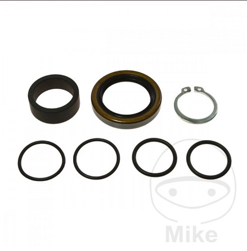 254001 kit revisione paraolio - 254001,