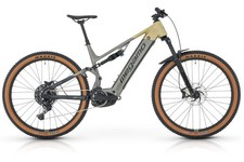 MTB e-bike biammortizzata