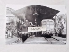 Fotografia Locomotiva a vapore FS Gr 880.047 e Locomotore Diesel FS D342.4011  