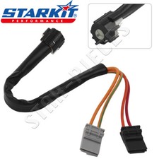 Fascio Elettrico Spilla