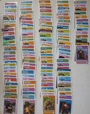 LOTT CARD esselunga dreamwork