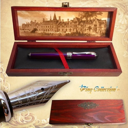 Penna stilografica viola con - stilografica,