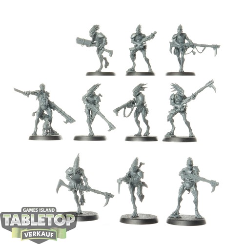 Tau empire 10x kroot - tau,