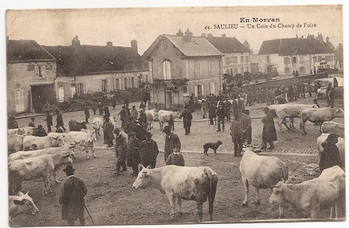 Francia morvan fiera del - francia,