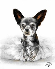 ✤ Dipinto Ritratto Cane Olio