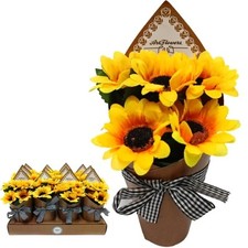 Piante Artificiali Decorativi