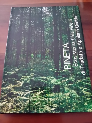 Pineta ecosistema della - pineta,