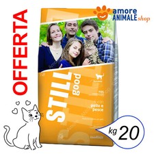 STILL Cat Good → Pollo e