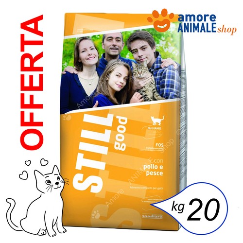 Still cat good - still, →