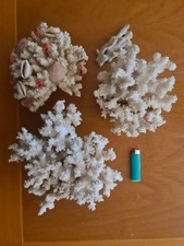 Corallo bianco naturale Madrepora 1250g+750g+525g, prezzo più basso...AFFARE!!