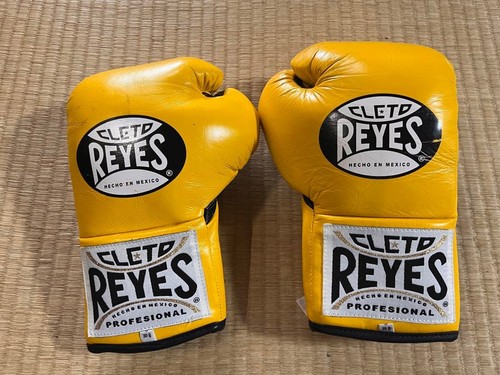 Guantoni boxe professionali - guantoni,