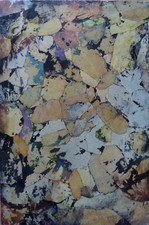 ROBERT DUPERRIER COLLAGE