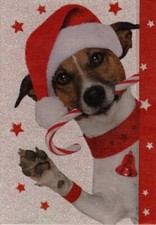 Portasoldi Natale Jack Russell