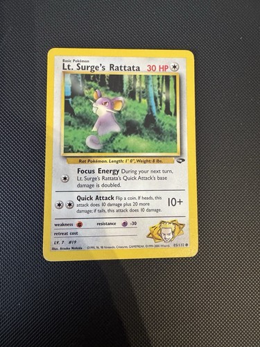 Surge rattata gym - surge's,