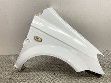 Parafango Destro "Vernice