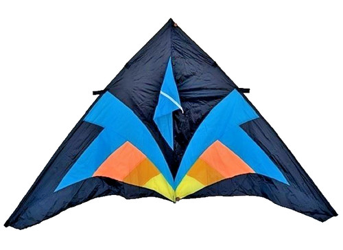 Delta kite champion - delta,