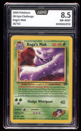 Koga muk 26 gym challenge - koga's, #26