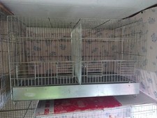 gabbia per uccelli usata