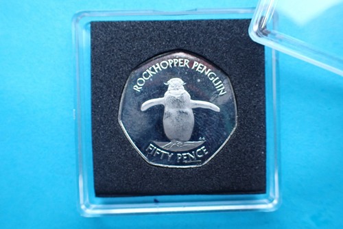 Isole falkland 2020 - isole, falkland,