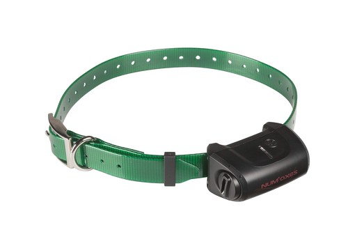 Collier seul supplementaire - collier, seul/supplementaire