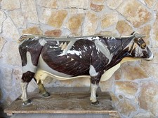 Modello Anatomico Vintage -Vacca Con Corna- In Gesso 