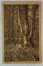 CARTOLINA BAGNOLI IRPINO