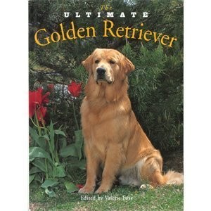 The ultimate golden retriever - golden,