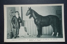 Rysdyk's Hambletonian, un