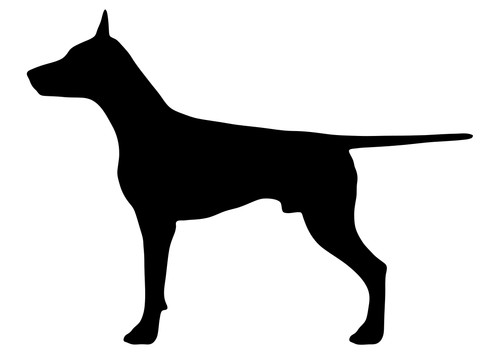 Adesivo cane dog doberman - adesivo,